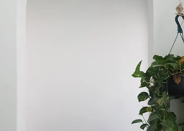 Bright 1br With Optional Rooftop Well Connected Apartment