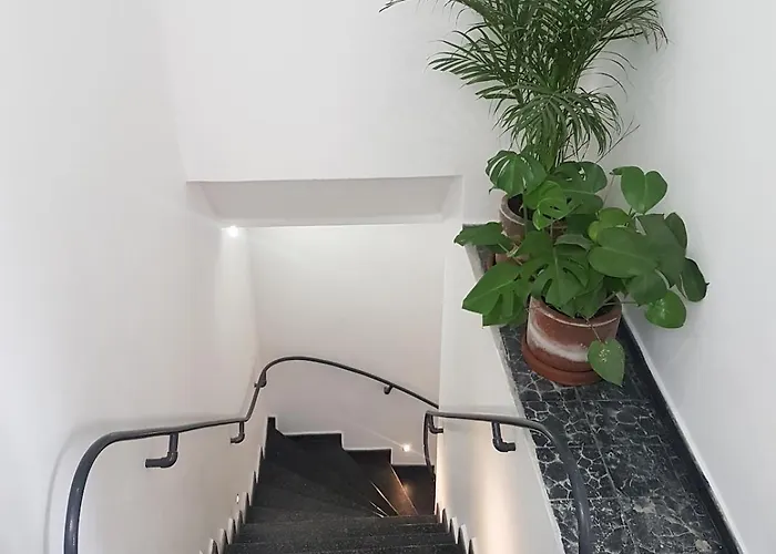 Bright 1br With Optional Rooftop Well Connected