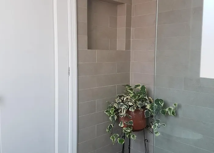 Bright 1br With Optional Rooftop Well Connected Apartment Mexico City