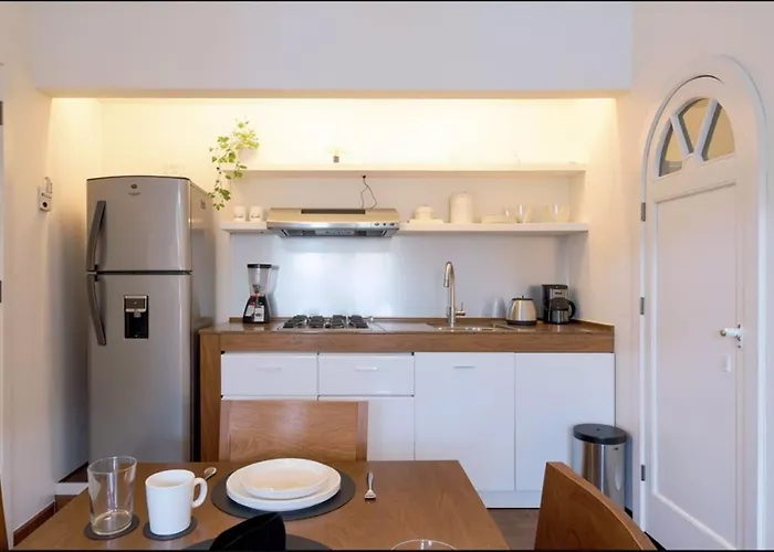 Bright 1br With Optional Rooftop Well Connected Apartment Mexico City